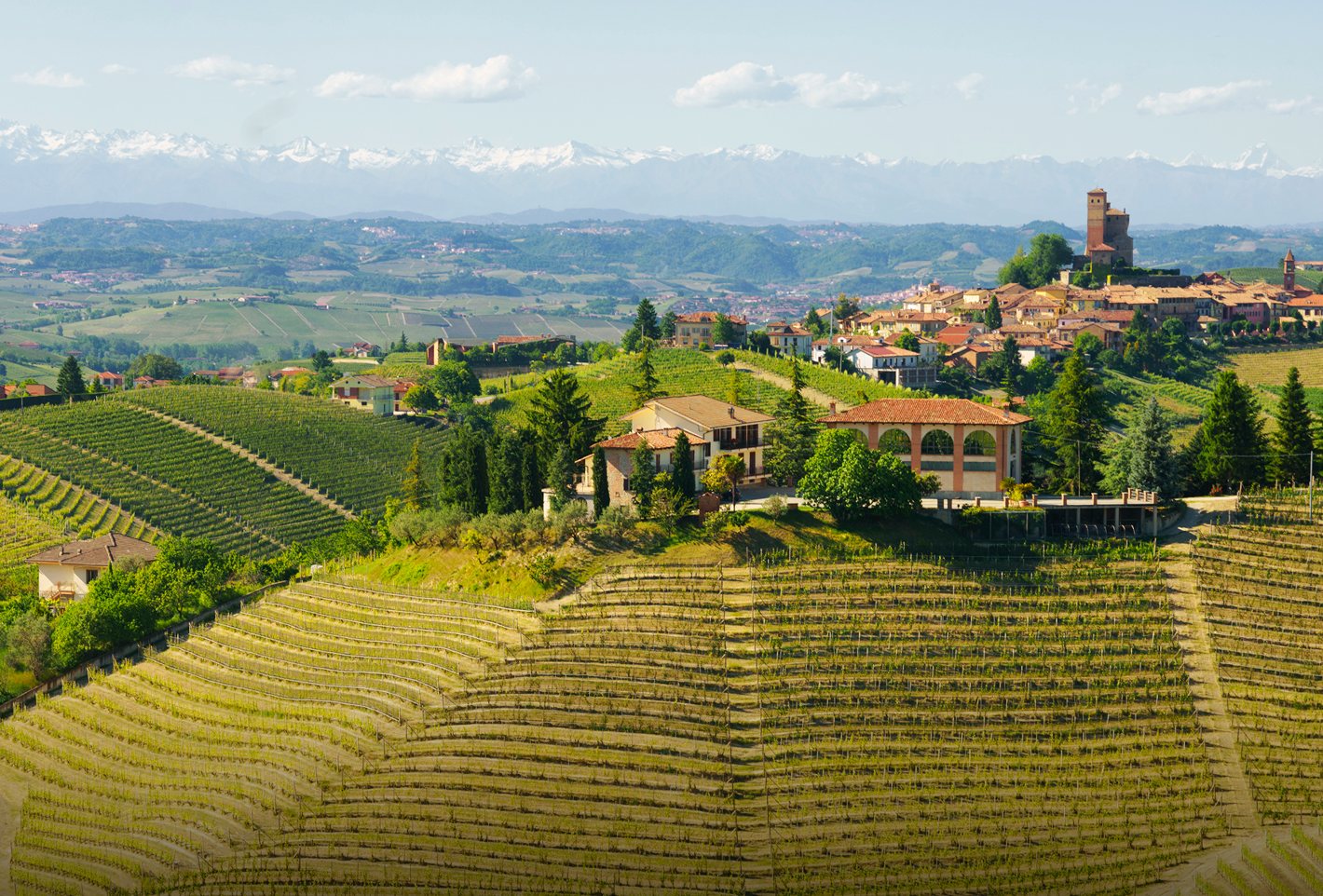 Langhe